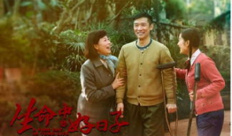 电视剧生命中的好日子,温情岁月里的家庭温情与成长历程