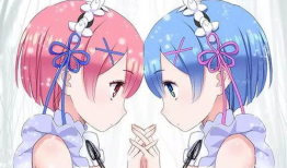 双胞胎动漫,动漫中的孪生情缘